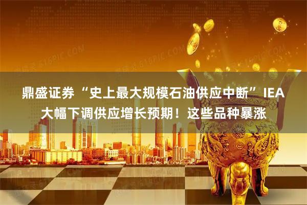 鼎盛证券 “史上最大规模石油供应中断” IEA大幅下调供应增长预期!这些品种暴涨