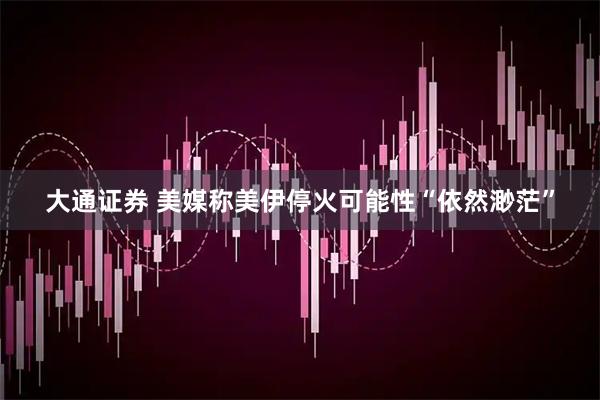 大通证券 美媒称美伊停火可能性“依然渺茫”