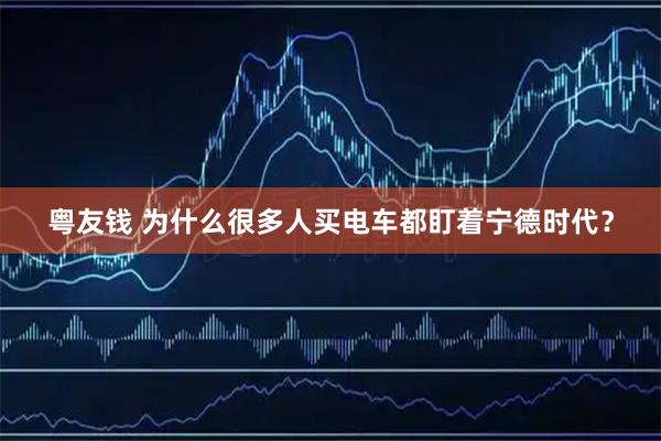 粤友钱 为什么很多人买电车都盯着宁德时代？