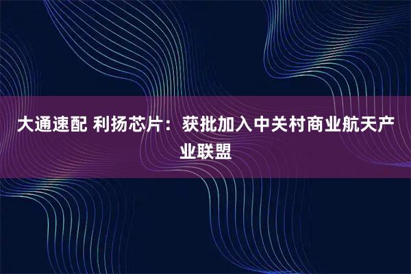 大通速配 利扬芯片：获批加入中关村商业航天产业联盟