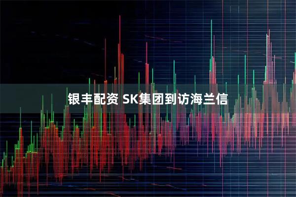 银丰配资 SK集团到访海兰信
