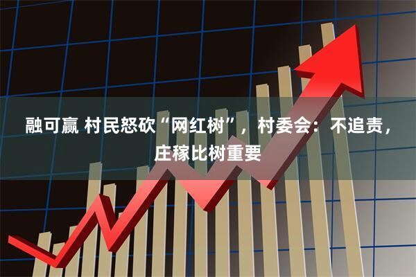 融可赢 村民怒砍“网红树”,村委会:不追责,庄稼比树重要