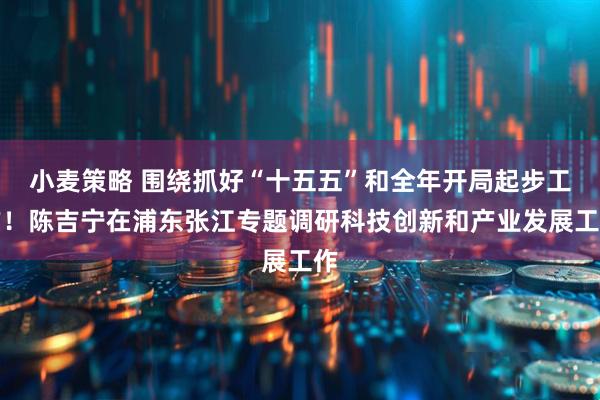 小麦策略 围绕抓好“十五五”和全年开局起步工作！陈吉宁在浦东张江专题调研科技创新和产业发展工作