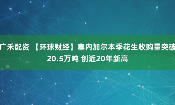 广禾配资 【环球财经】塞内加尔本季花生收购量突破20.5万吨 创近20年新高