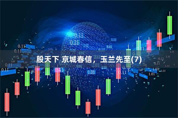 股天下 京城春信，玉兰先至(7)