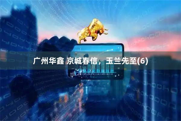 广州华鑫 京城春信，玉兰先至(6)