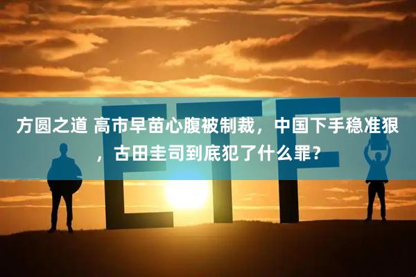方圆之道 高市早苗心腹被制裁，中国下手稳准狠，古田圭司到底犯了什么罪？