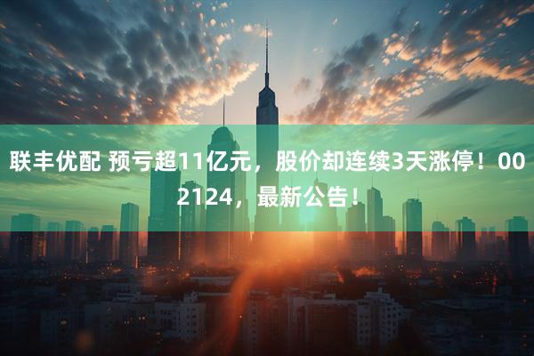 联丰优配 预亏超11亿元,股价却连续3天涨停!002124,最新公告!
