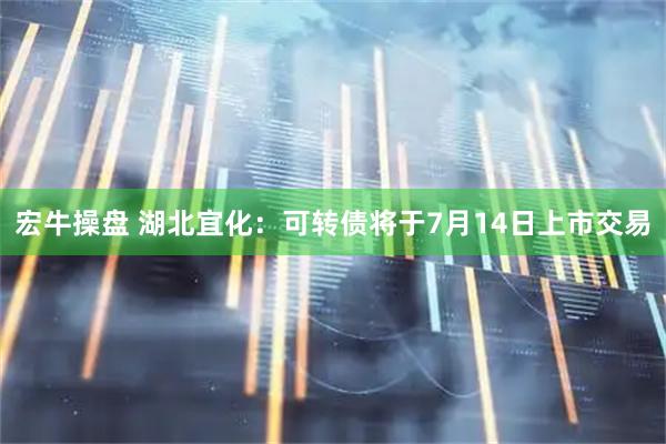 宏牛操盘 湖北宜化：可转债将于7月14日上市交易